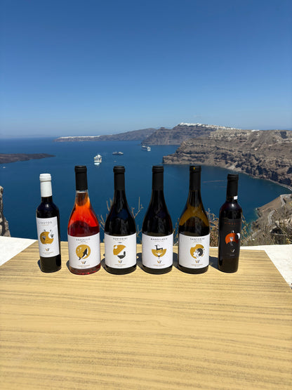Venetsanos Santorini Assyrtiko Single Vineyard 2021 (750ml)